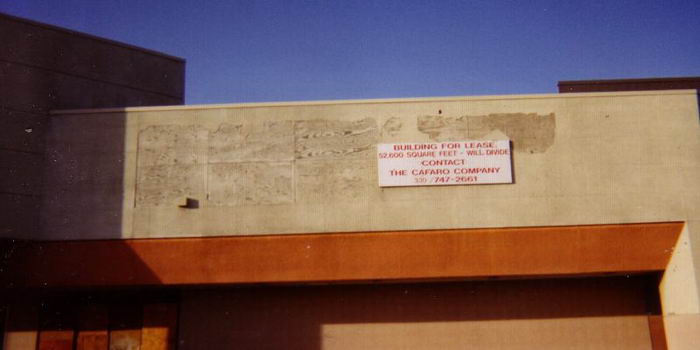 Fort Saginaw Mall - From Bob P (newer photo)